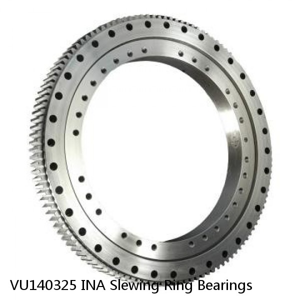 VU140325 INA Slewing Ring Bearings