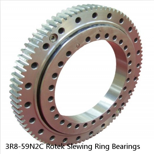 3R8-59N2C Rotek Slewing Ring Bearings #1 small image