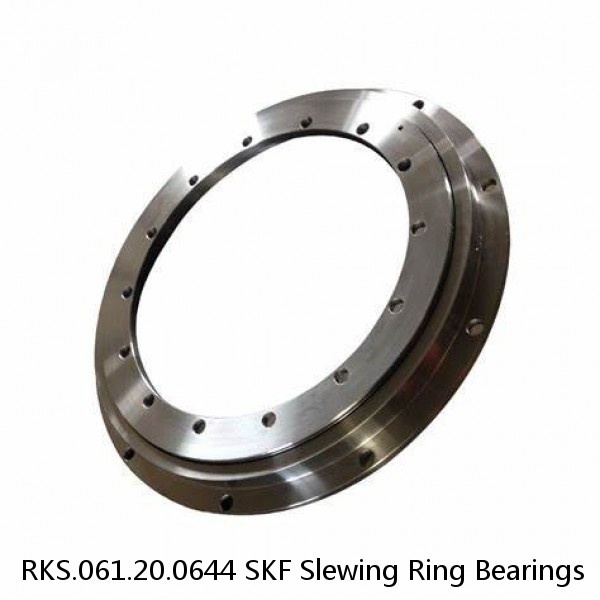 RKS.061.20.0644 SKF Slewing Ring Bearings #1 image