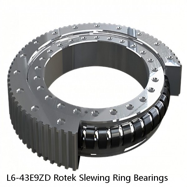 L6-43E9ZD Rotek Slewing Ring Bearings #1 image