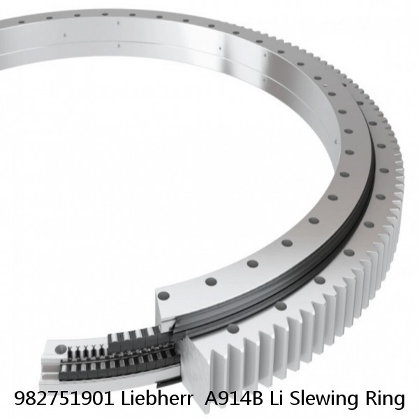 982751901 Liebherr  A914B Li Slewing Ring #1 image